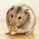 Image for article titled Why you should starve yourself a little bit each day